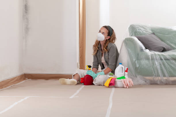 Trusted Black Mold Removal service in Marriottsville, MD - WQB Mold Removal